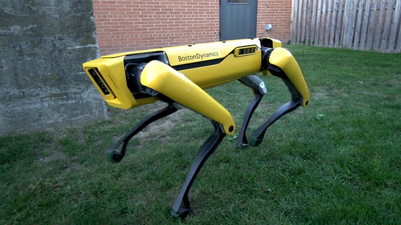 Boston Dynamics nel 2019 lancerà il cane robot