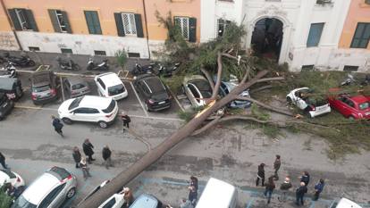 Danni e vittime a Roma per le raffiche di vento nel weekend