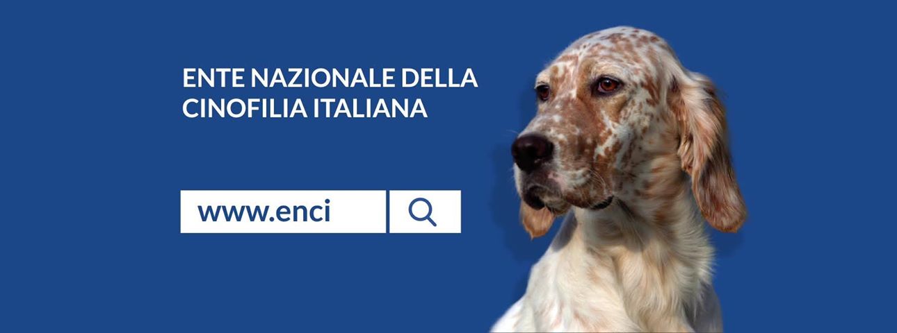 L’ENCI scende in campo per aiutare gli allevamenti ucraini